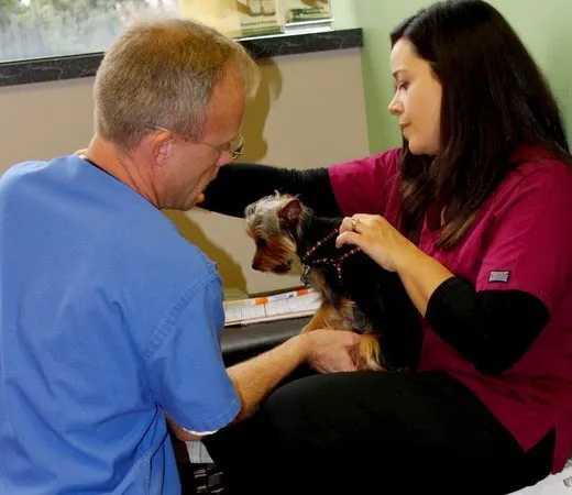Sheppard Alternative Animal Care Picture 1