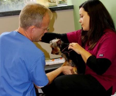 Sheppard Alternative Animal Care
