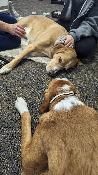 Sheppard Alternative Animal Care Picture 3