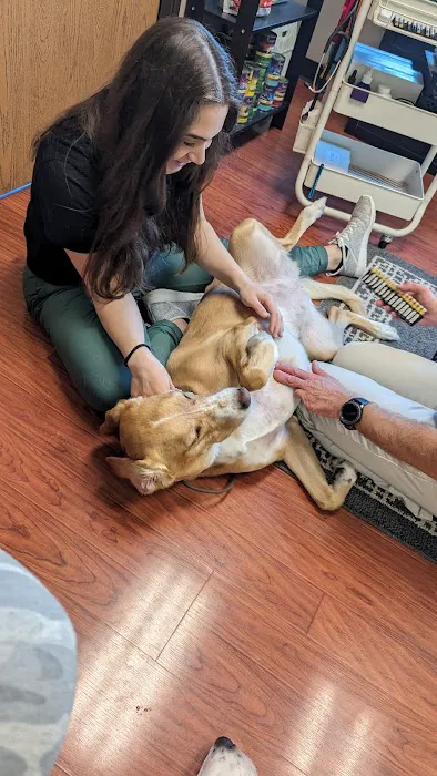 Sheppard Alternative Animal Care Picture 4