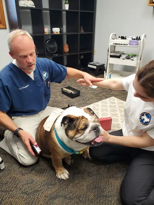 Sheppard Alternative Animal Care Picture 9