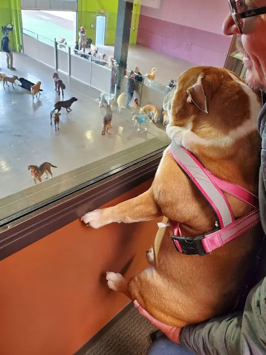 Sheppard Alternative Animal Care Picture 10