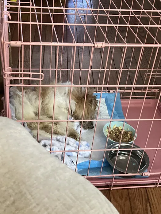 Michigan Animal Care Picture 5