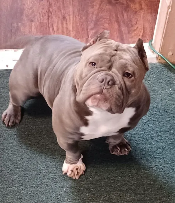 Dix Animal Hospital Picture 5