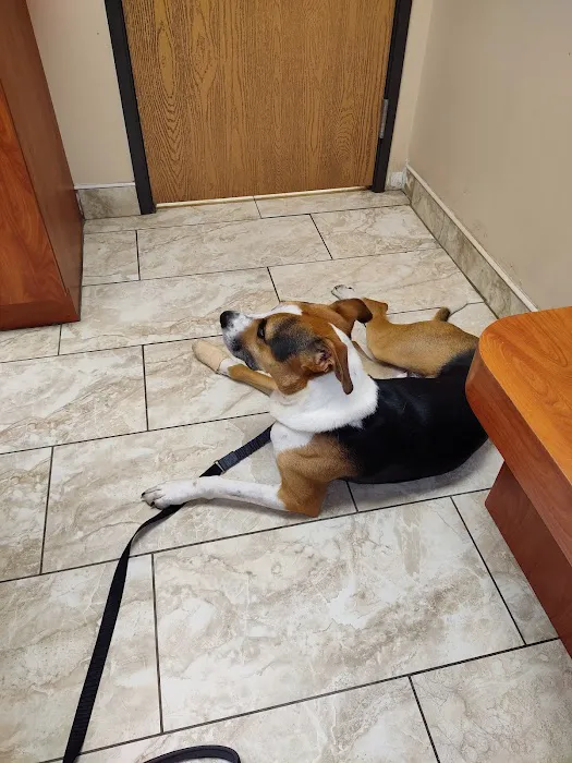 Dix Animal Hospital Picture 8