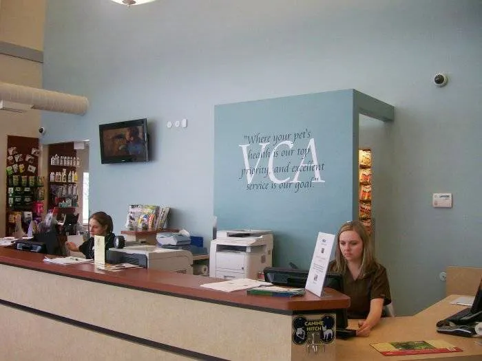VCA Allen Park Animal Hospital Picture 4