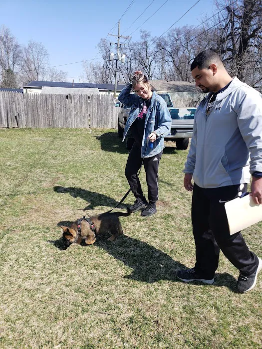 Affiliated Veterinary Emergency Service Picture 5