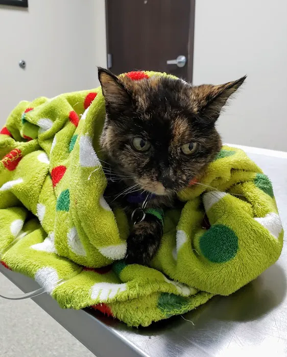 Affiliated Veterinary Emergency Service Picture 8