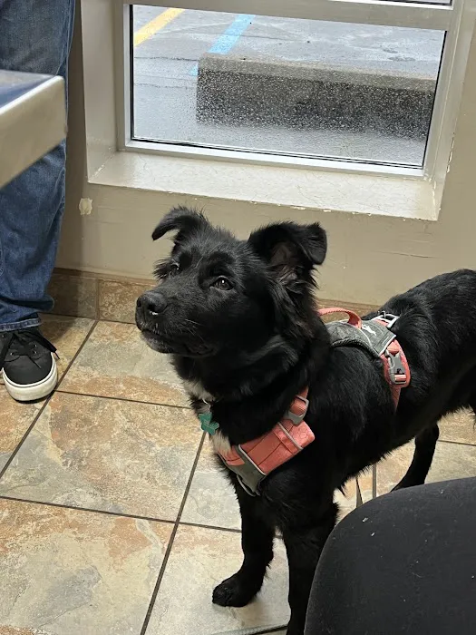 A-Quality Care Veterinary Hospital Picture 3