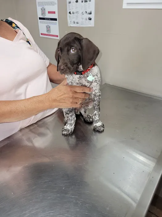 A-Quality Care Veterinary Hospital Picture 6