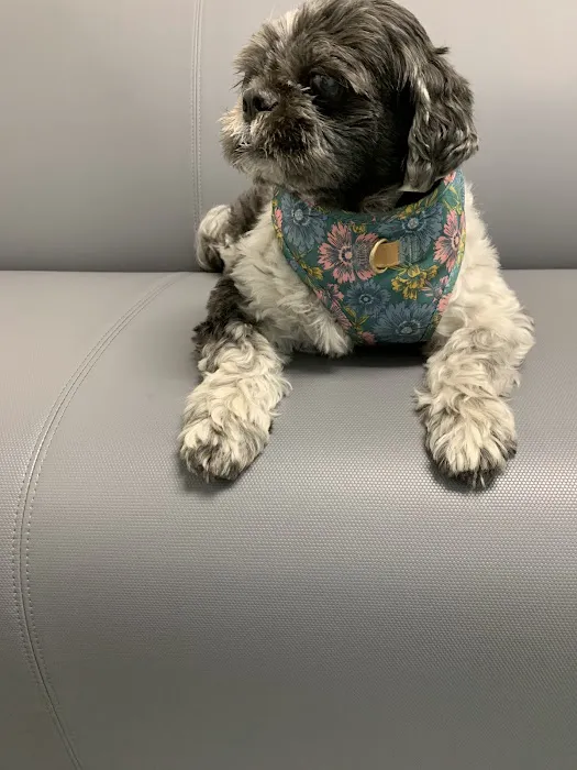 Banfield Pet Hospital Picture 1