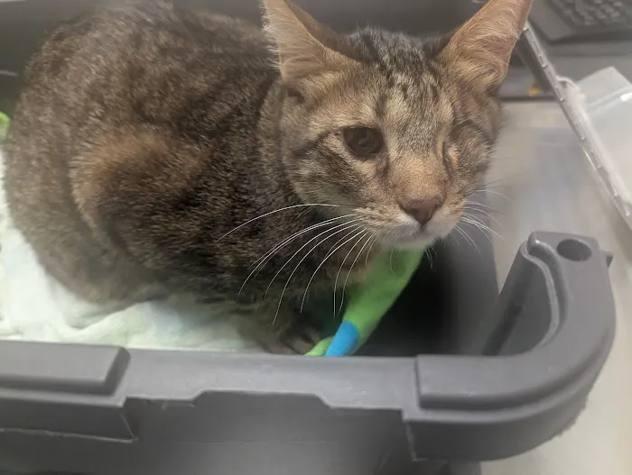 Banfield Pet Hospital Picture 7