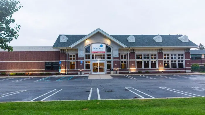 BluePearl Pet Hospital Picture 3