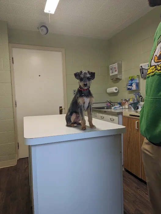 Hilldale Veterinary Hospital Picture 4