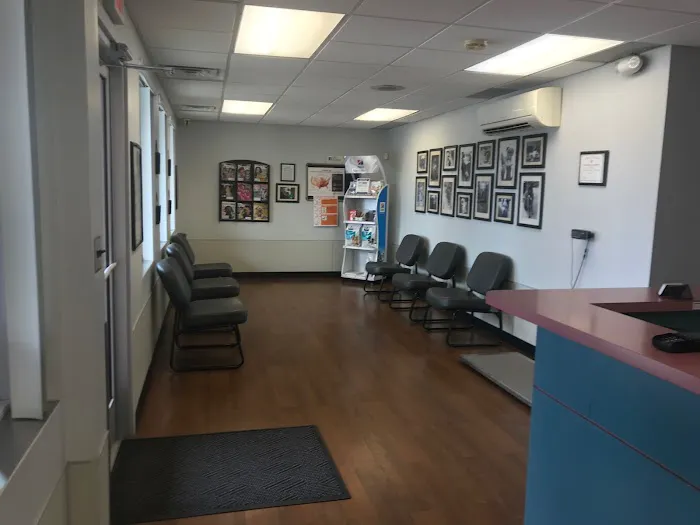 Plaza Veterinary Hospital Picture 3