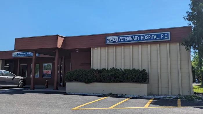 Plaza Veterinary Hospital Picture 4