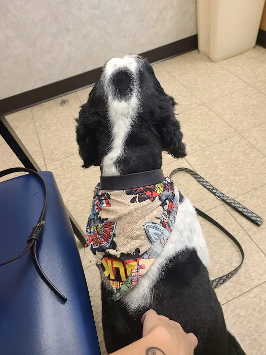 Plaza Veterinary Hospital: Adams Tracy L DVM Picture 3