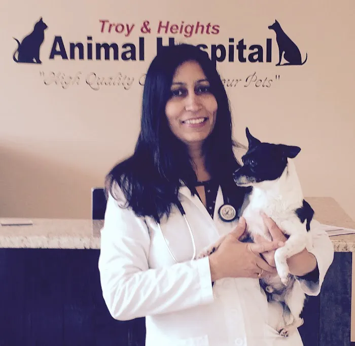 Troy & Heights Animal Hospital Picture 3