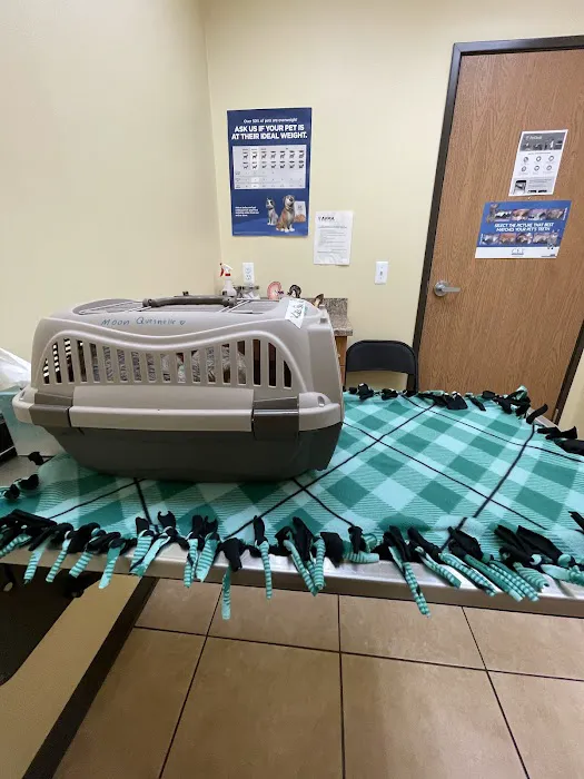 Troy & Heights Animal Hospital Picture 5