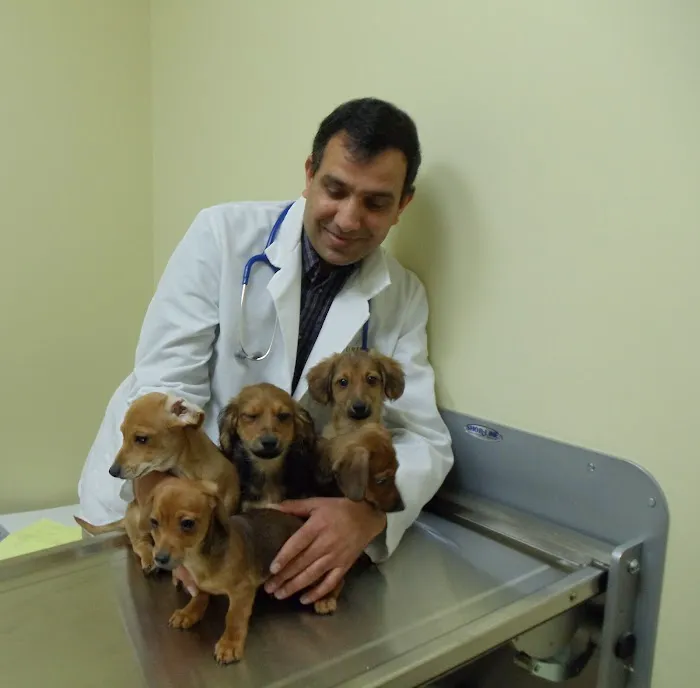 Troy & Heights Animal Hospital Picture 7