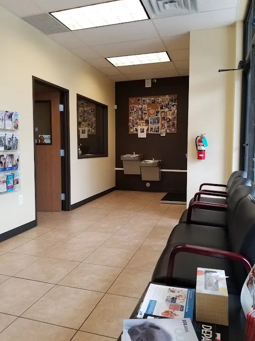 Troy & Heights Animal Hospital Picture 10