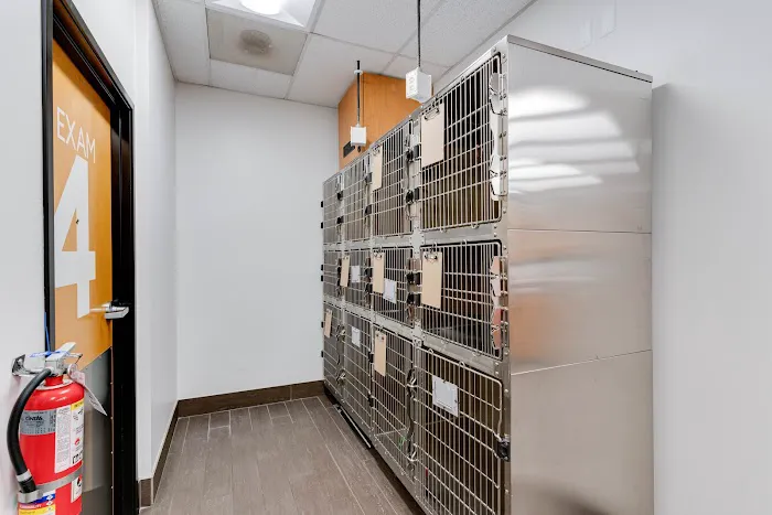 PetSmart Veterinary Services - Troy Picture 6