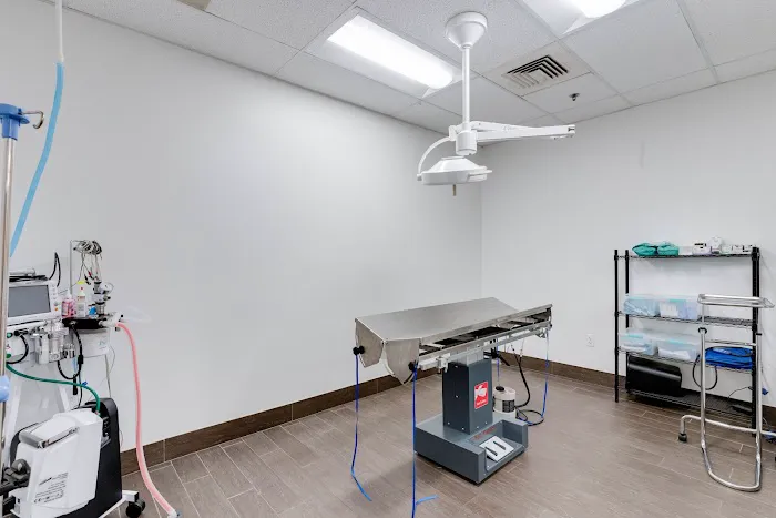 PetSmart Veterinary Services - Troy Picture 5