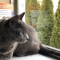 Troy Veterinary Hospital ico