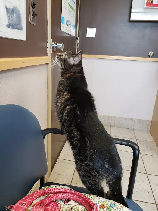 Troy Veterinary Hospital Picture 2
