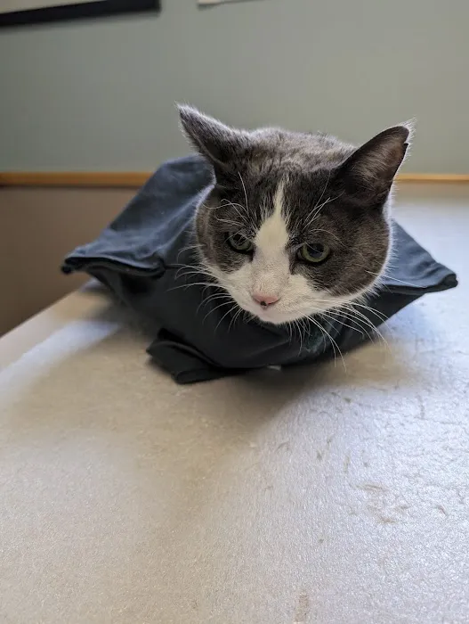 Troy Veterinary Hospital Picture 5