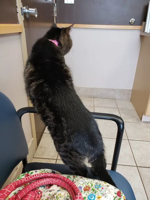 Troy Veterinary Hospital Picture 9
