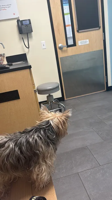Banfield Pet Hospital Picture 7
