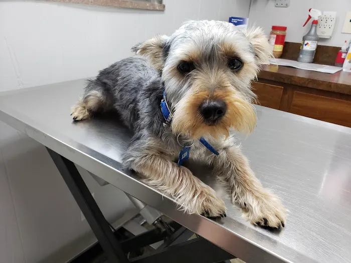 Long Lake Animal Hospital & Lakeside Pet Resort Picture 5