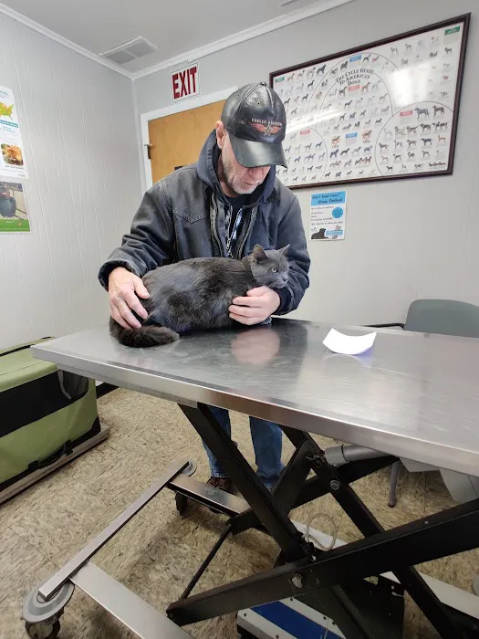 Long Lake Animal Hospital & Lakeside Pet Resort Picture 8