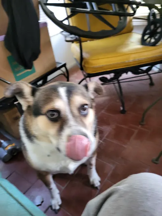 Vets2U Picture 4
