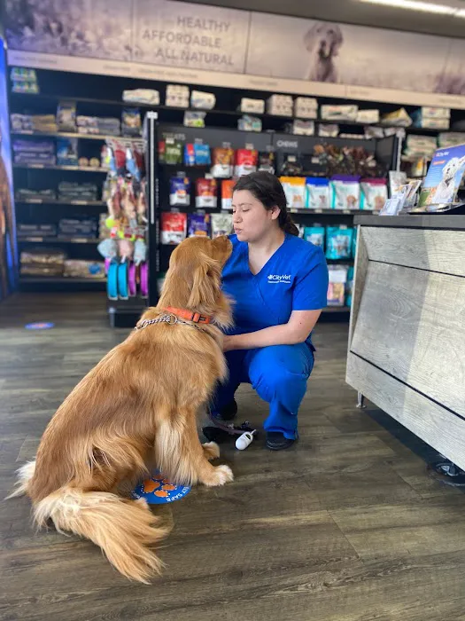 CityVet | Preston Hollow Picture 4