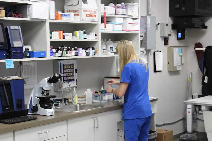 CityVet | Preston Hollow Picture 6