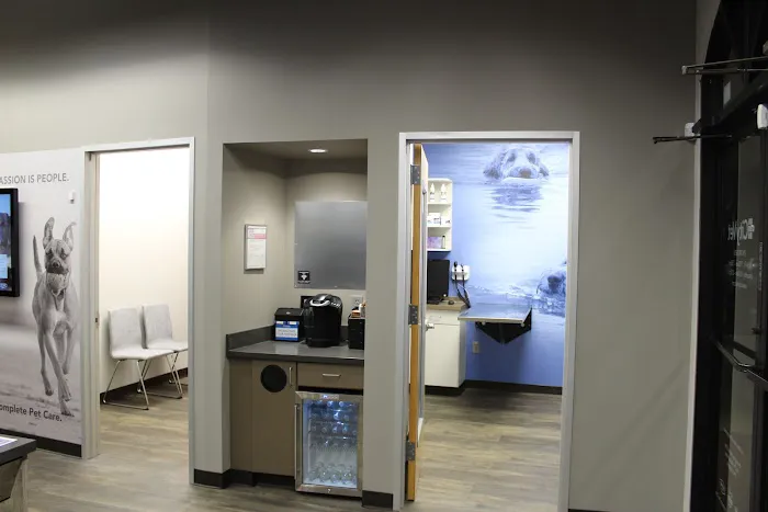 CityVet | Preston Hollow Picture 8