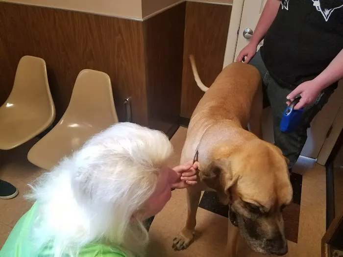 Affordable Veterinary Care Center Picture 2