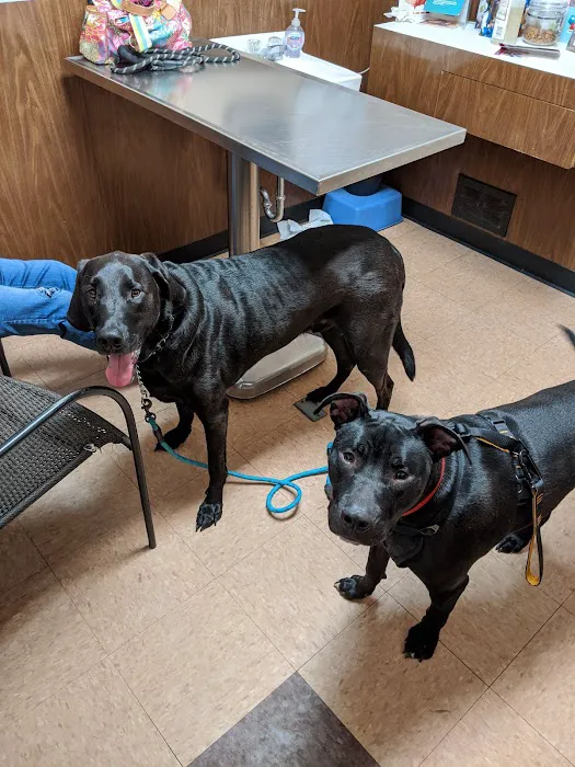 Affordable Veterinary Care Center Picture 1