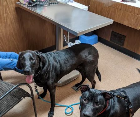 Affordable Veterinary Care Center