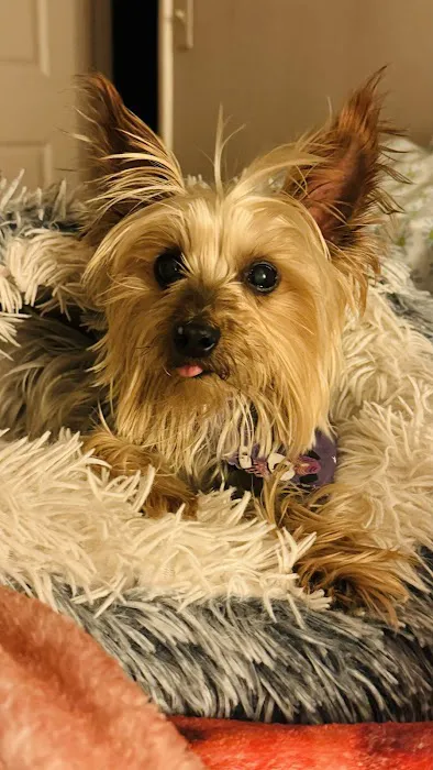 Patterson Veterinary Hospital Picture 5