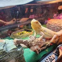 Parkway Small Animal & Exotic Hospital ico
