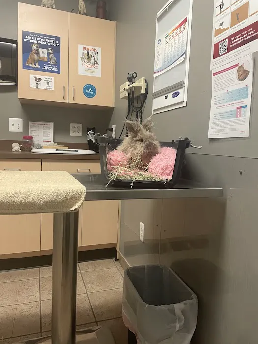Parkway Small Animal & Exotic Hospital Picture 4