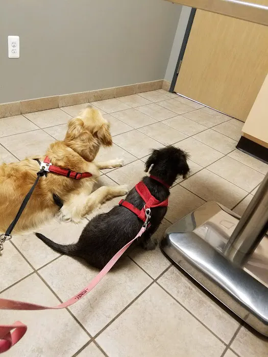 Parkway Small Animal & Exotic Hospital Picture 6