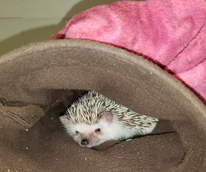 Parkway Small Animal & Exotic Hospital Picture 9