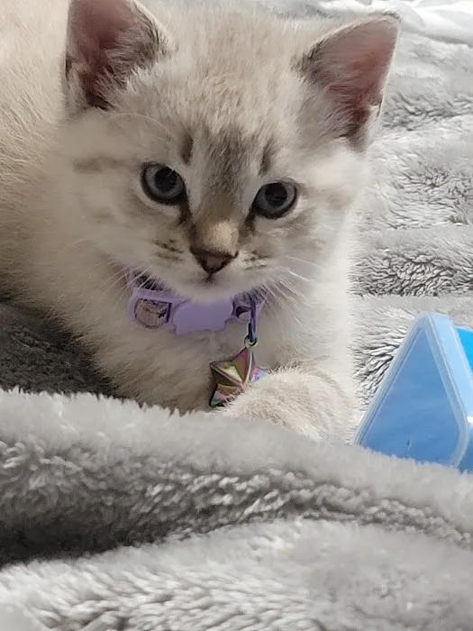 Parkway Vet Picture 3