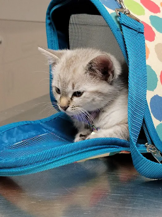 Parkway Vet Picture 2