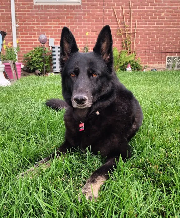 Parkway Vet Picture 4