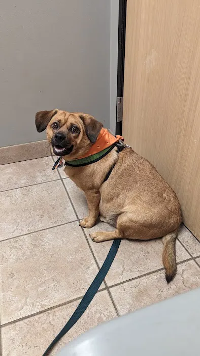 Parkway Vet Picture 7